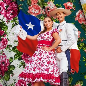 Tela Bi-Strech Estampado Dieciochero